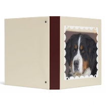 Bernese Mountain Dog Binder
