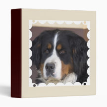 Bernese Mountain Dog Binder