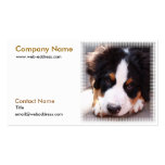 Bernese Mountain Dog Business Card business cards