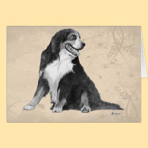 bernese mountain dog cards