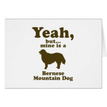 Bernese Mountain Dog Cards