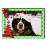 Bernese Mountain Dog Christmas Photocard