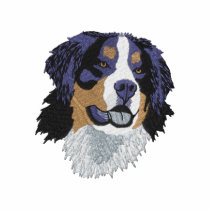 Bernese Mountain Dog