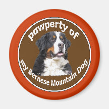 Bernese Mountain Dog Fridge Magnet