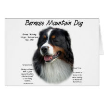 Bernese Mountain Dog History Design Card