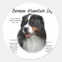 Bernese Mountain Dog History Design Round Stickers