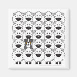 Bernese Mountain Dog in the Sheep Fridge Magnets