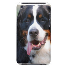 Bernese Mountain Dog  iTouch Case Barely There iPod Cases