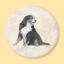 bernese mountain dog magnets
