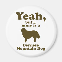 Bernese Mountain Dog Magnet
