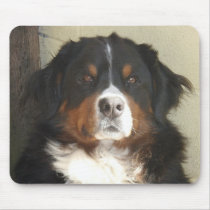 Bernese Mountain Dog Mouse Mat