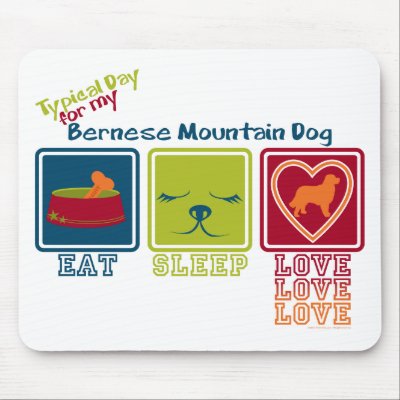 Bernese Mountain Dog by taoofblue