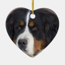 Bernese Mountain Dog Ornament
