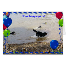 Bernese Mountain Dog Party Card