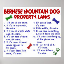 BERNESE MOUNTAIN DOG PL2