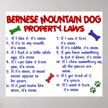 BERNESE MOUNTAIN DOG PL2 POSTER