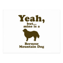 Bernese Mountain Dog Post Cards