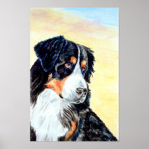 Bernese Mountain Dog Poster Print