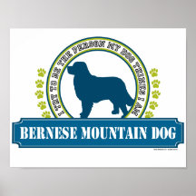 Bernese Mountain Dog Posters
