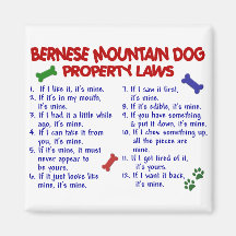 BERNESE MOUNTAIN DOG Property Laws 2 Refrigerator Magnet
