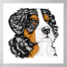 Bernese Mountain Dog Pup Posters