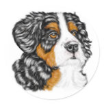 Bernese Mountain Dog Pup Stickers