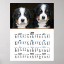 Bernese mountain dog puppies 2012 calendar poster