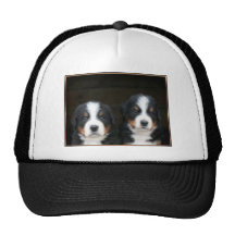 Bernese mountain dog puppies cap mesh hats