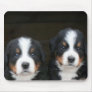 Bernese mountain dog puppies mousepad