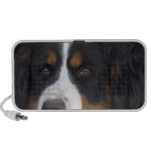 Bernese Mountain Dog Speakers