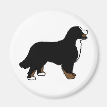 Bernese Mountain Dog Triclolor Fridge Magnets