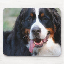 Bernese Mountain Dog with Big Tongue Mouse Pad