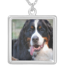 Bernese Mountain Dog with Big Tongue Necklace