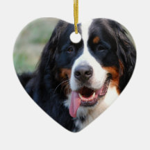 Bernese Mountain Dog with Big Tongue Ornaments