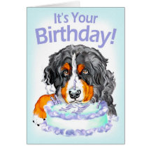 Bernese Mt Dog Cake Face Birthday Greeting Cards