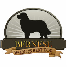 Bernese Photo Sculpture