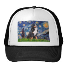 Bernese - Starry Night Mesh Hat