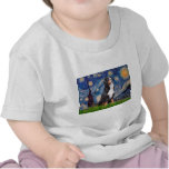 Bernese - Starry Night Tee Shirt