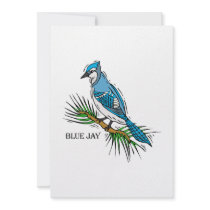 Bernie Blue Jay Invitations