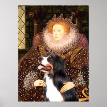 Bernsese Mt Dog - Queen Elizabeth Posters
