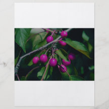 berries custom flyer