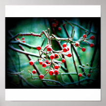 Berries in Ice Print