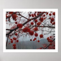 berries print
