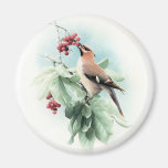 Berries To Eat Refrigerator Magnet