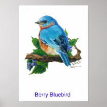 Berry Bluebird