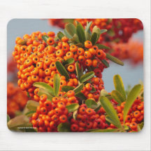 Berry Branch Mousepad 2