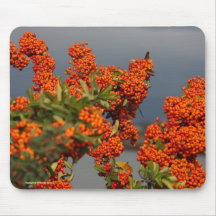 Berry Branch mousepad 3