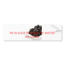 berry, THE BLACKER THE BERRY THE SWEETER THE CH... Bumper Stickers