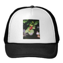 BerryLeaf.jpg Mesh Hat