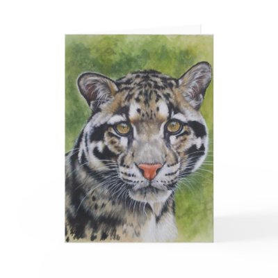 Berry's Clouded Leopard by BarbBarcikKeith